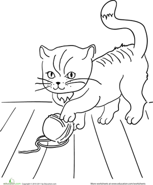 Color the Playful Kitten