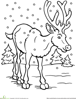 Color the Reindeer