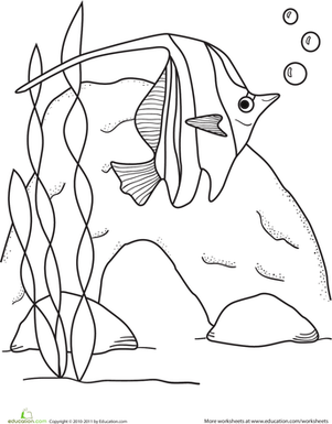 Color a Moorish Idol