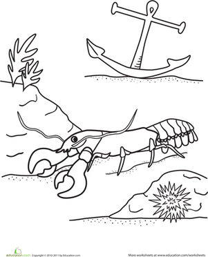 Lobster Coloring Page