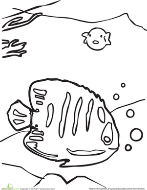 Color the Swimming Tropical Fish 