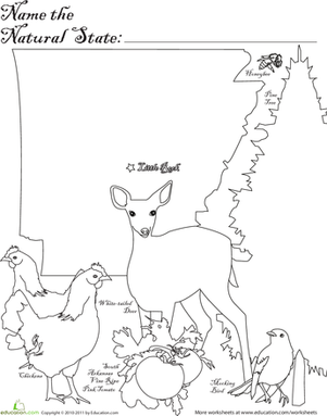 The Natural State