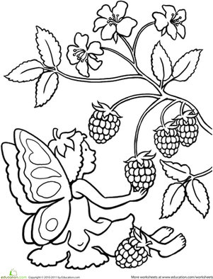 Color the Berry-Picking Fairy