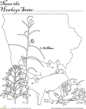 The Hawkeye State