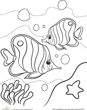 Tropical Fish Coloring Page