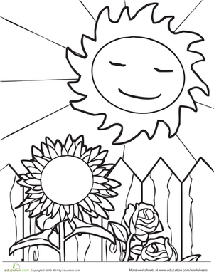 Sun and Sunflower