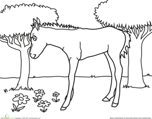 Horse Picture to Color