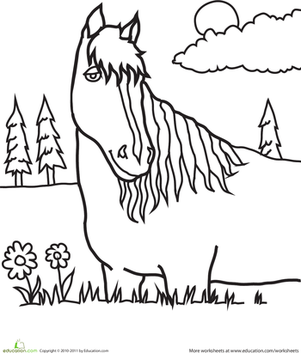 Color the Pretty Horse