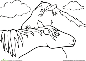 Color the Cuddling Horses