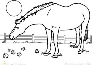 Color the Horse