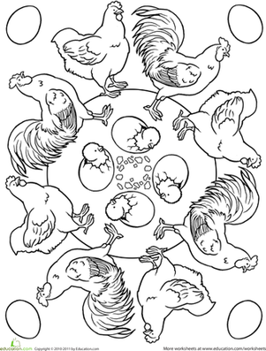 Color a Chicken Mandala