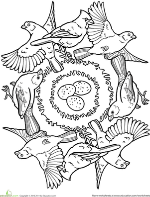 Color a Mandala: Birds