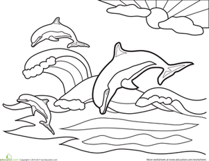 Dolphin Coloring Page