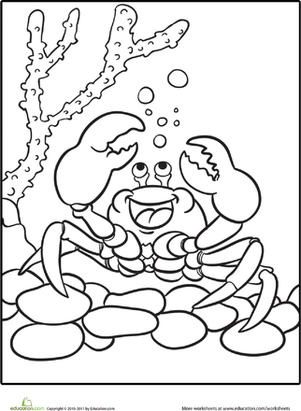 Color the Happy Crab