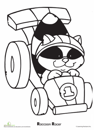 Raccoon Racer Ricky