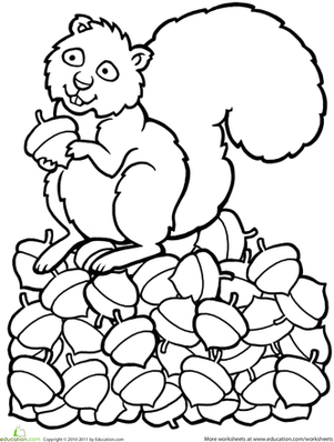 Color the Squirrel