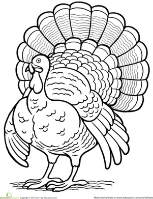 Turkey Coloring Page
