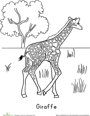 Color the Giraffe