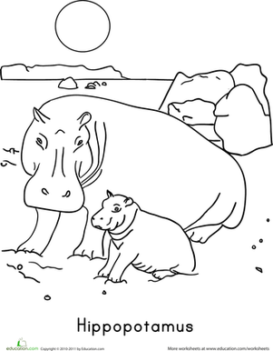 Color the Hippopotamus