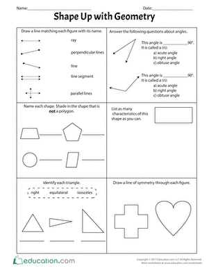 Shape Up with Geometry