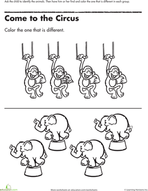Find the One That's Different: Circus Animals