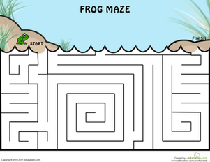 Frog Maze