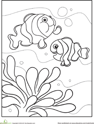 Clownfish Coloring Page