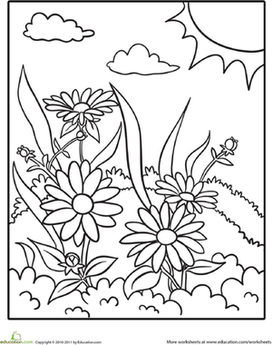 Daisy Coloring Page