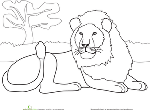 Color the Resting Lion