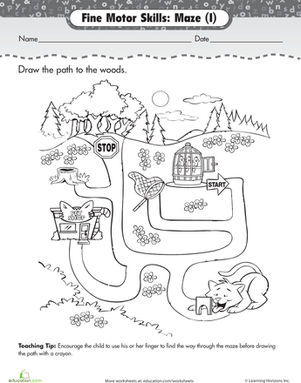Maze Mania: Bye Bye Birdy