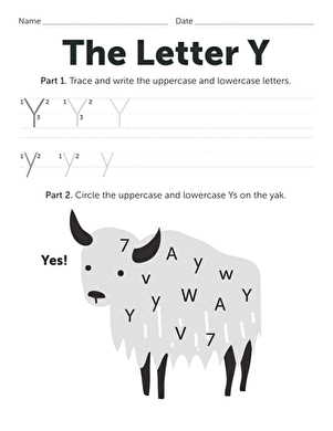 The Letter Y