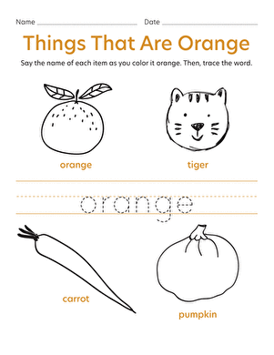 Things That Are Orange