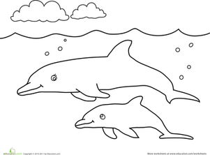 Color the Dolphin Mommy and Baby