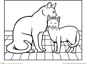 Color the Cat at Bath Time