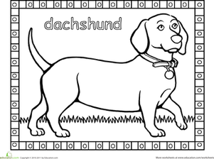 Dachshund Coloring Page
