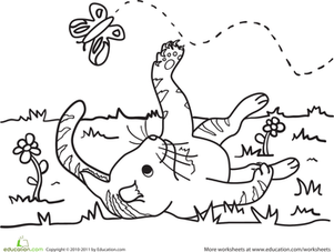 Color the Kitty and the Butterfly