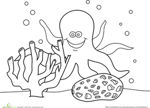 Octopus Coloring