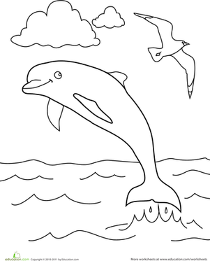Color the Soaring Dolphin
