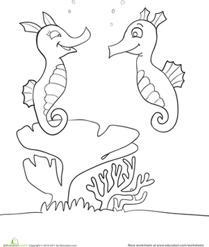 Seahorses Coloring