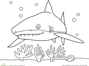 Sneaky Shark Coloring Page