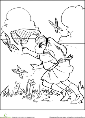 Color the Butterfly Catcher