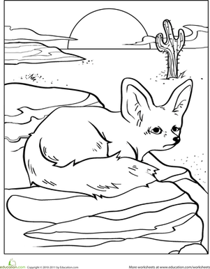 Color the Desert Fox