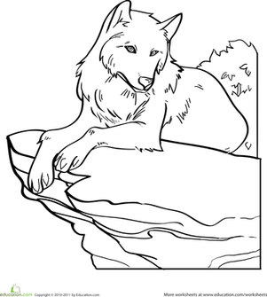 Color the Wolf