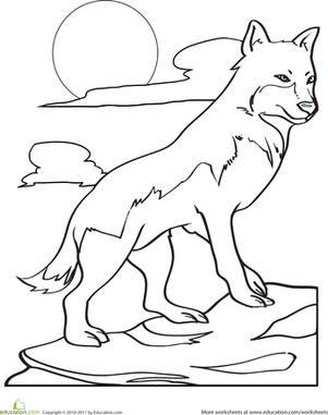 Color the Hunting Wolf