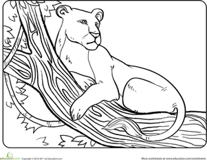 Color the Resting Lioness