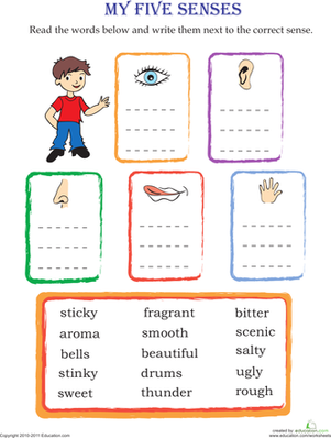 Sensory Description Match-Up