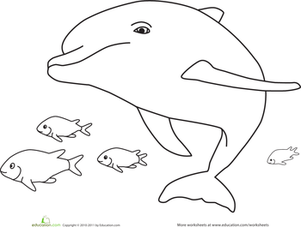 Swimming Dolphin Coloring Page