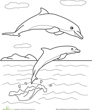 Color the Dolphin Pals
