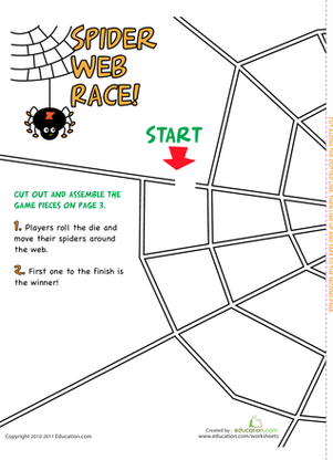 Spider Web Race