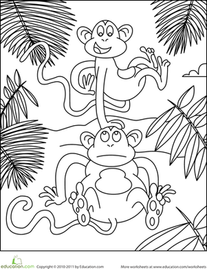 Color the Jumping Monkey